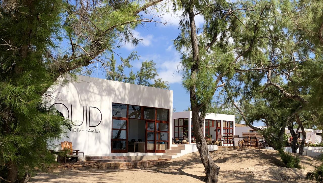 Liquid Dive Adventures Bed and Breakfast Praia do Praia do Tofo Εξωτερικό φωτογραφία