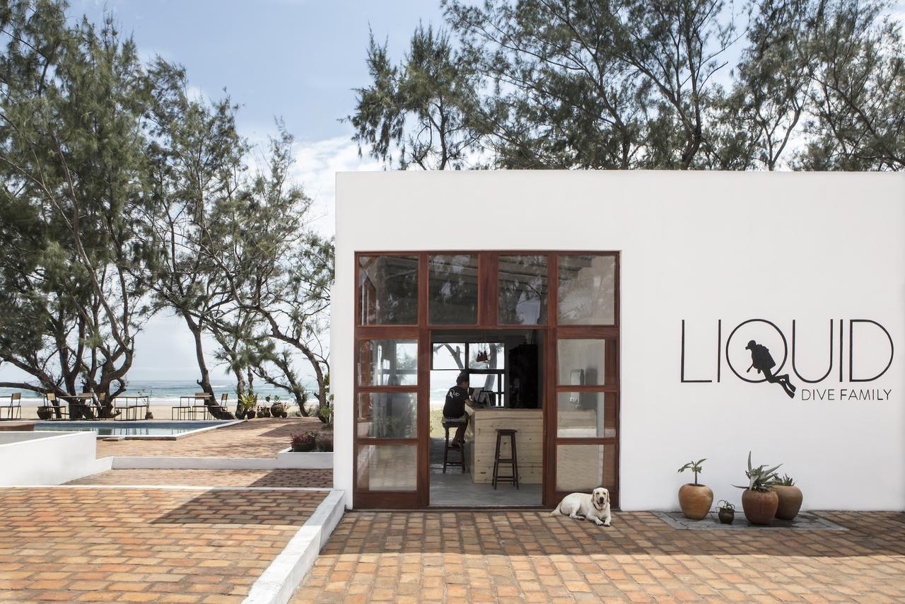 Liquid Dive Adventures Bed and Breakfast Praia do Praia do Tofo Εξωτερικό φωτογραφία